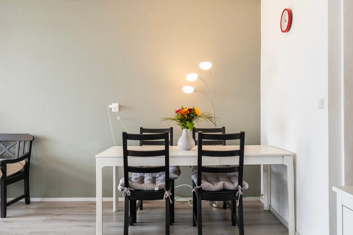 Foto 8 van Loolaan 41-163