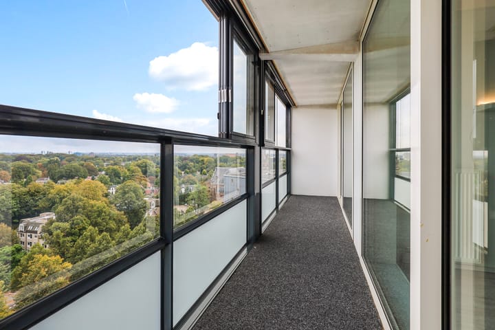 Foto 13 van Loolaan 41-163