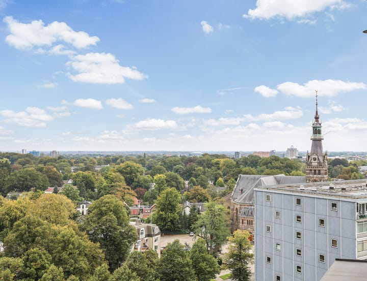 Foto 15 van Loolaan 41-163