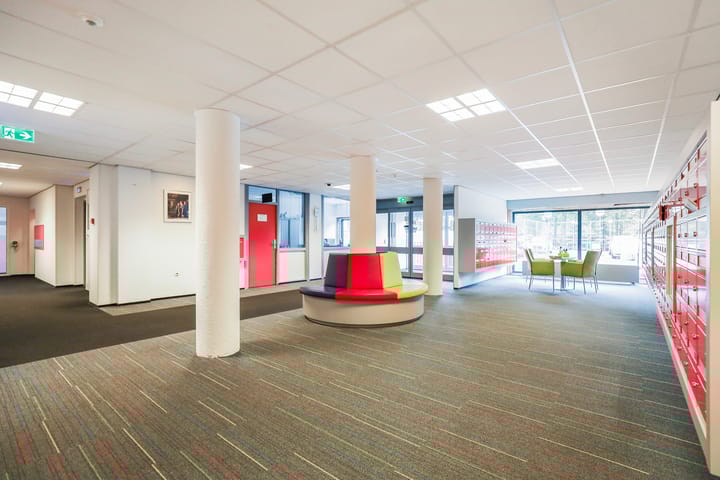 Foto 21 van Loolaan 41-163