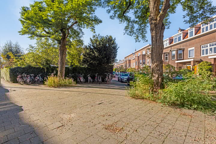 Foto 32 van Lijsterbesstraat 161