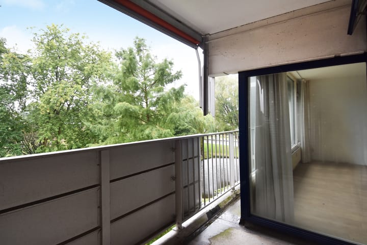 Foto 9 van Tulpentuin 121