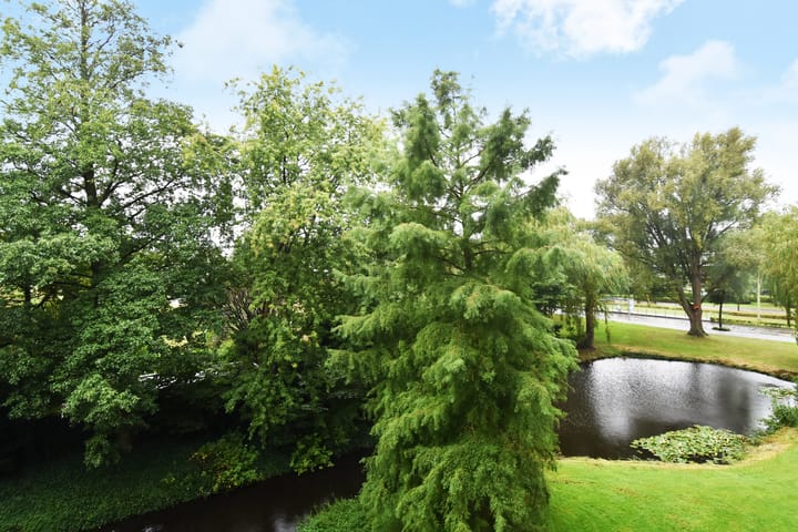 Foto 10 van Tulpentuin 121