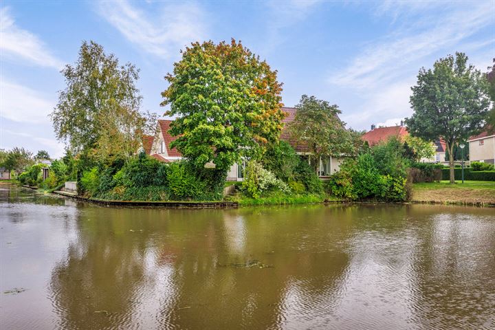 Bekijk foto 2 van Domela Nieuwenhuisstraat 29