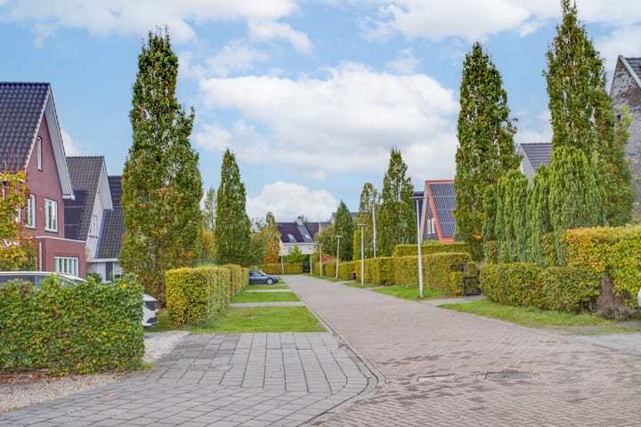 Foto 57 van Johann Strausslaan 1