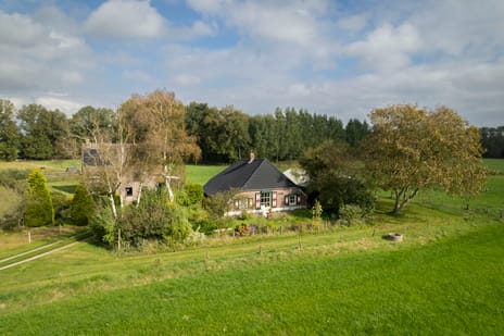 undefined main image