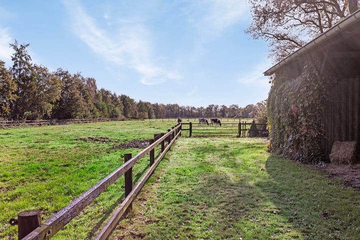 Bekijk foto 34 van Hanebulterweg 3