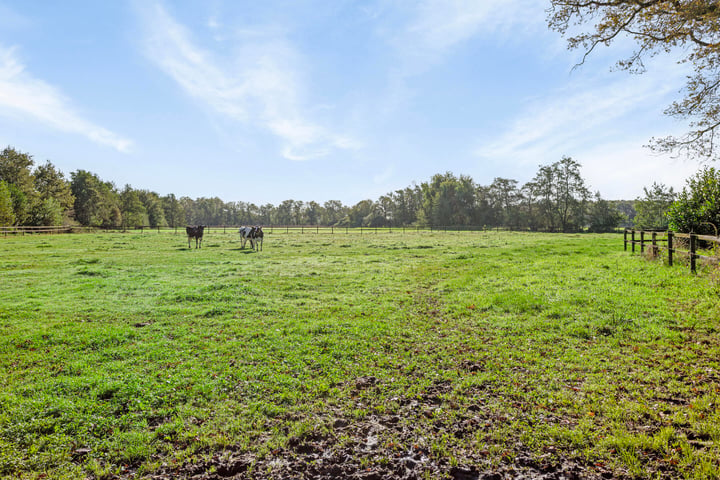 Bekijk foto 36 van Hanebulterweg 3