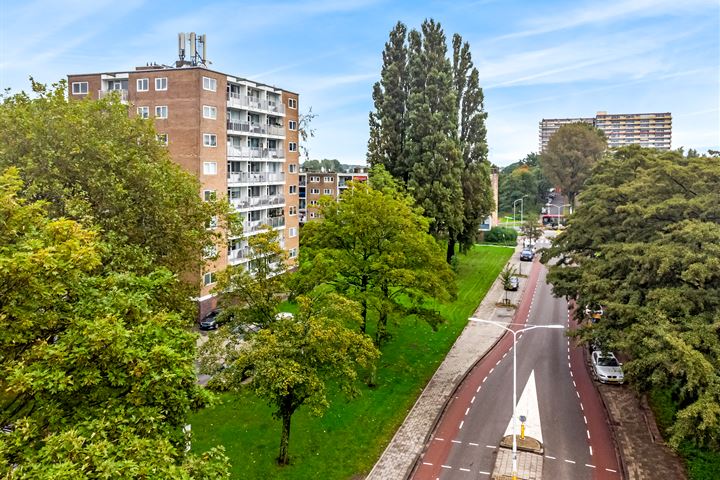 Bekijk foto 30 van Zuidervaart 79