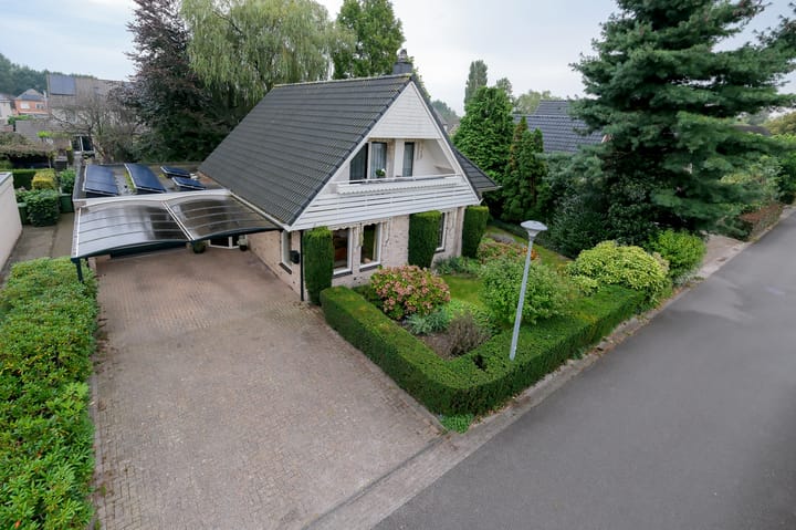 Foto 1 van Witrugspecht 43