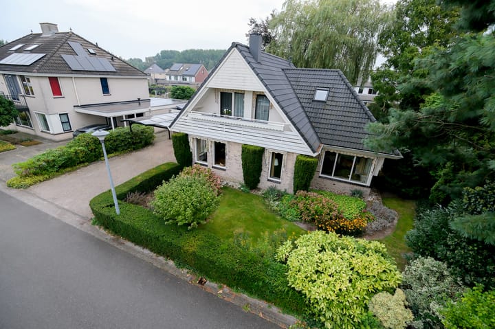 Foto 5 van Witrugspecht 43