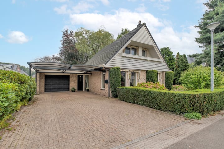 Foto 6 van Witrugspecht 43