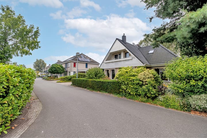 Foto 7 van Witrugspecht 43