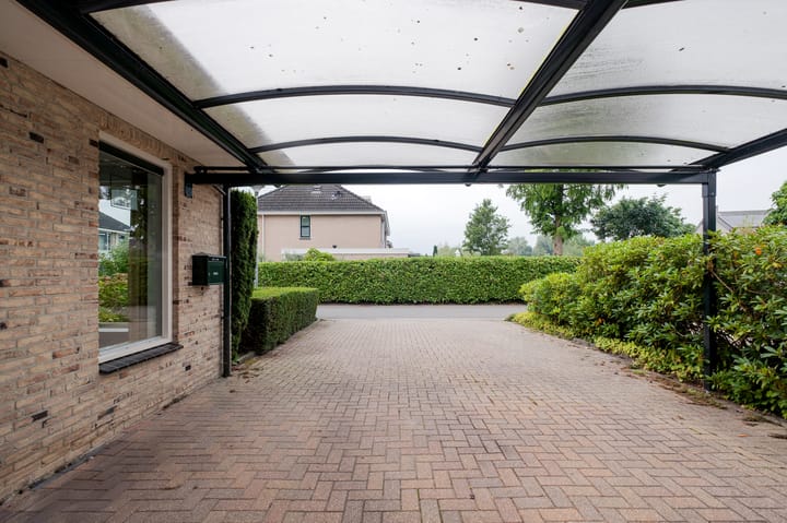 Foto 8 van Witrugspecht 43