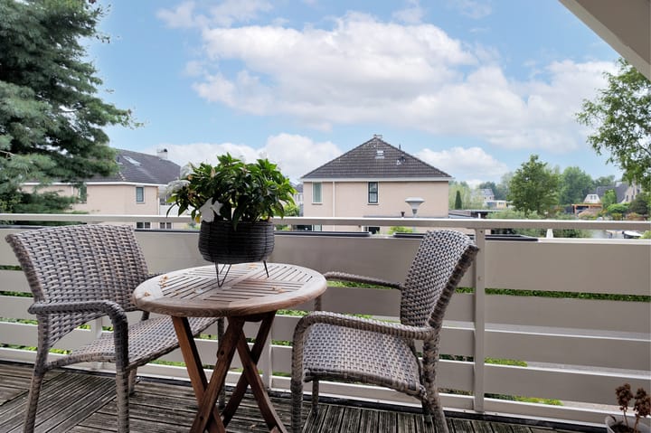 Foto 24 van Witrugspecht 43