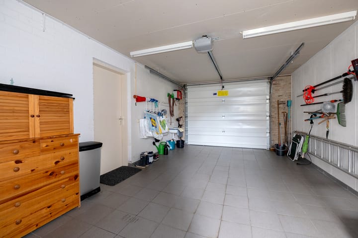 Foto 26 van Witrugspecht 43