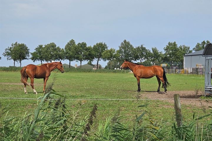 Bekijk foto 41 van Vogelstraat 15-B