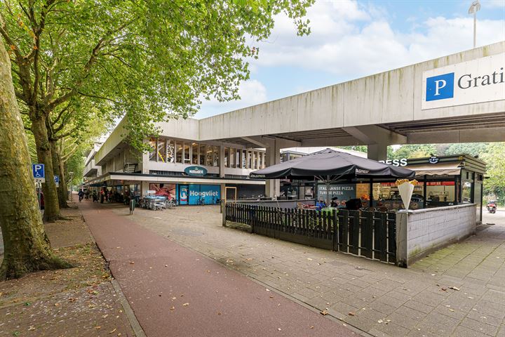 View photo 15 of Ir. van der Sluijsplantsoen 91