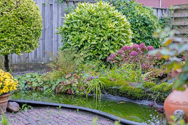 Foto 33 van Vijverstraat 20