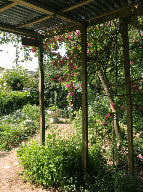 Foto 67 van Variksestraat 6-A