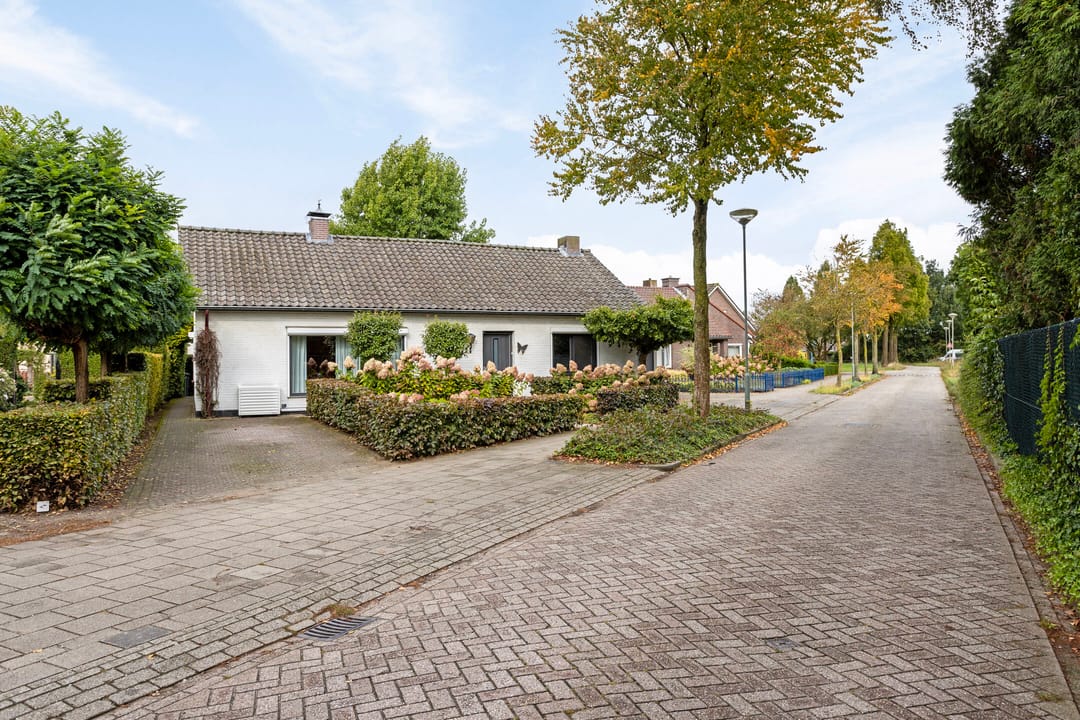 Foto 2 van Stogger 11