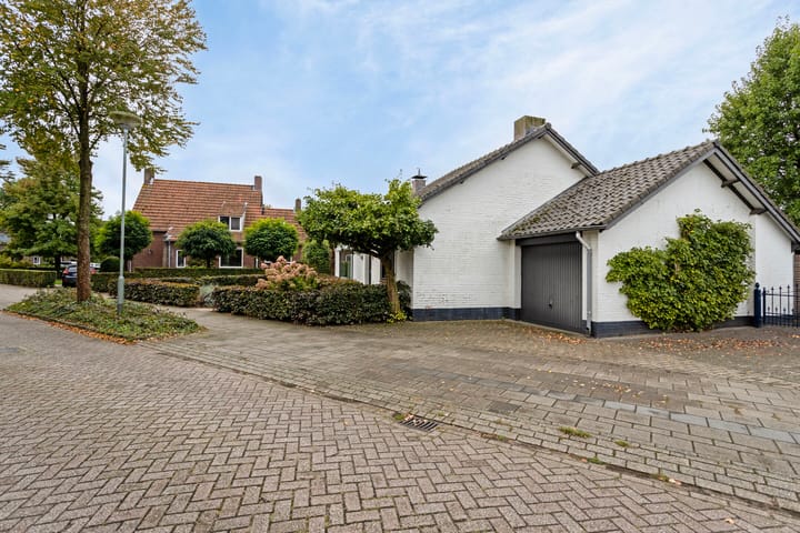 Foto 3 van Stogger 11