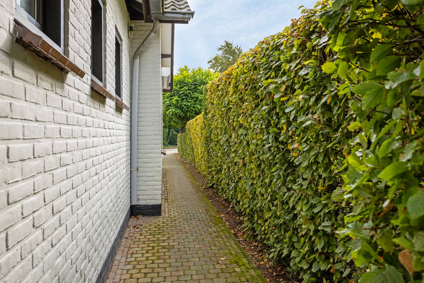 Foto 35 van Stogger 11