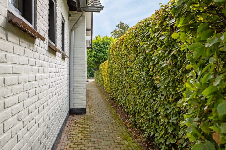 Foto 35 van Stogger 11