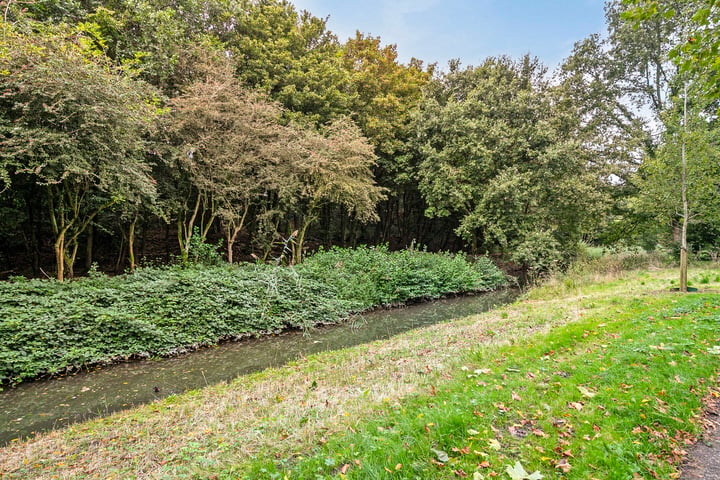 Bekijk foto 38 van Steenarend 97