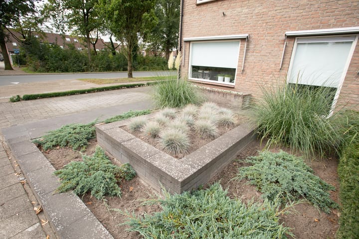 Foto 51 van De Beo 2