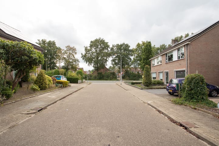 Foto 62 van De Beo 2