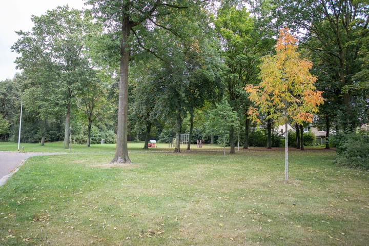 Foto 63 van De Beo 2