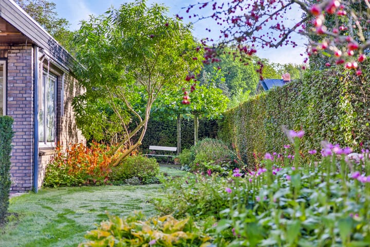 Photo 46 of Brinkerinckbaan 13