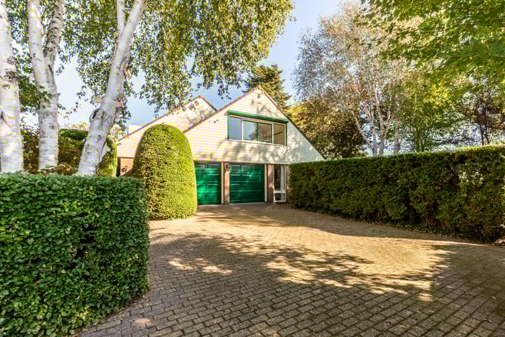 Foto 1 van Schaepmanlaan 12