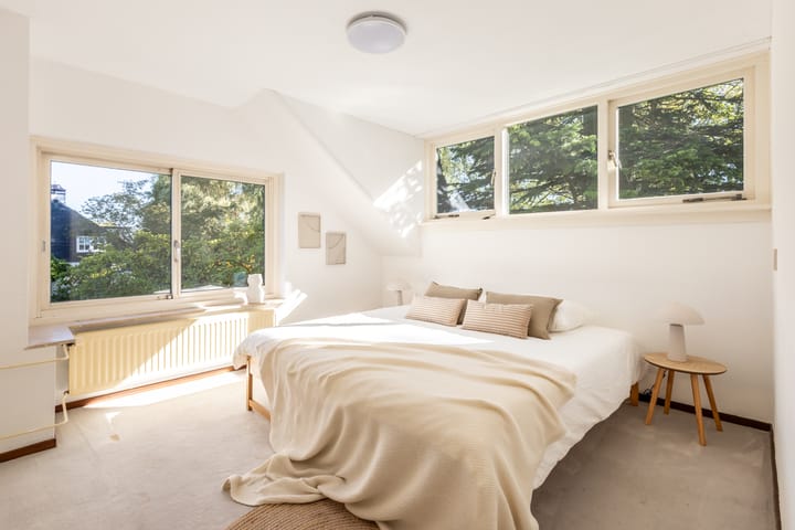 Foto 4 van Schaepmanlaan 12