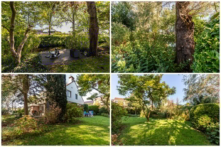 Foto 34 van Schaepmanlaan 12