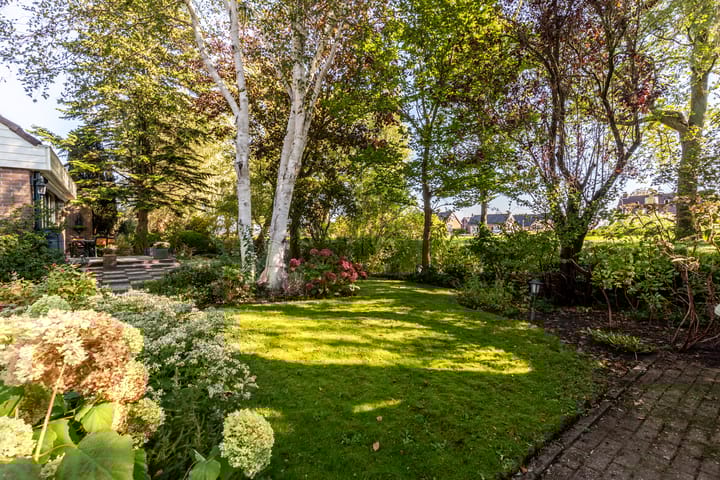 Foto 38 van Schaepmanlaan 12