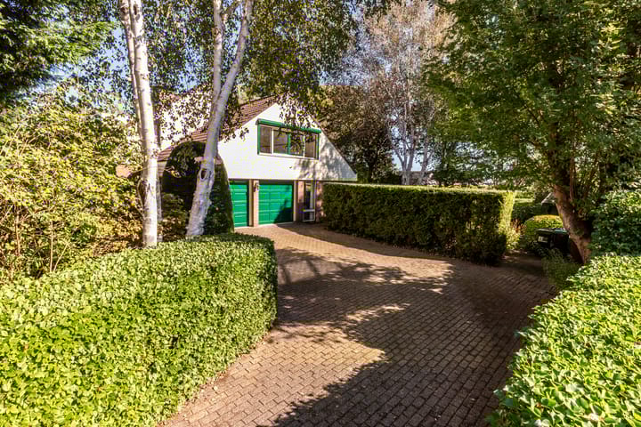 Foto 43 van Schaepmanlaan 12