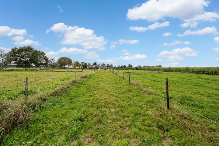 Bekijk foto 40 van Rietgoorsestraat 104