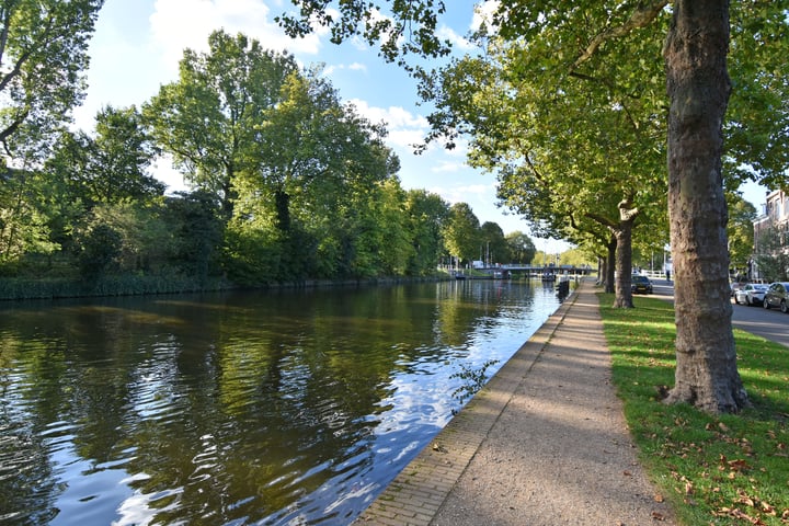 Bekijk foto 49 van Oostsingel 155