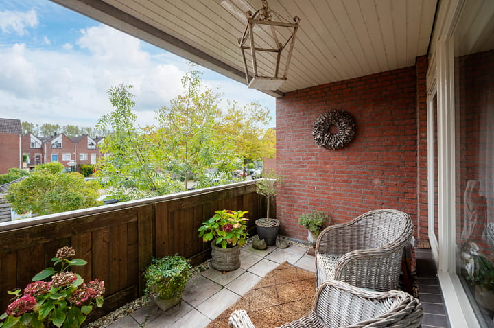 Foto 5 van Antilopespoor 197