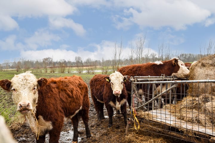 Foto 20 van J.M. den Uylstraat 75