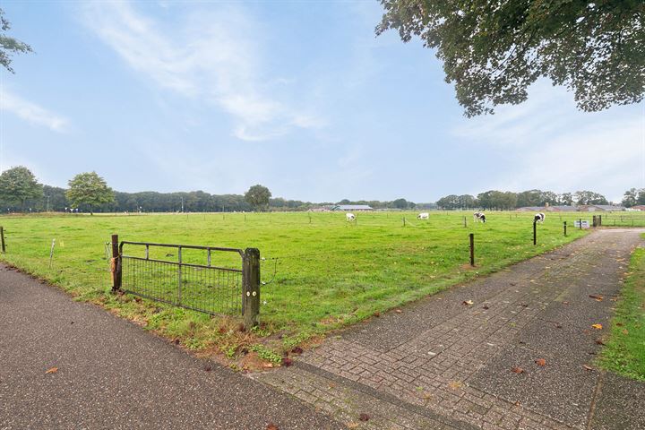 View photo 2 of Bovenheigraaf 138