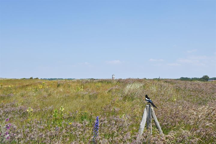 Bekijk foto 67 van Haagweg 37-A