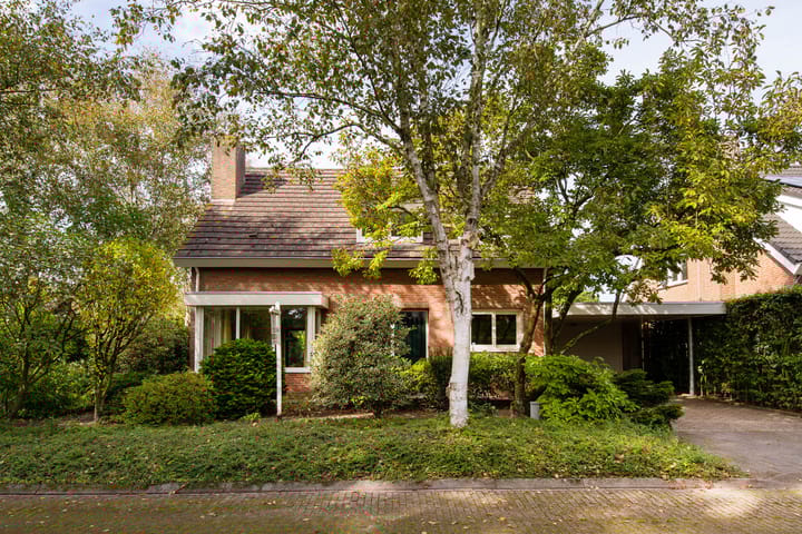 Foto 1 van Onyxdijk 119