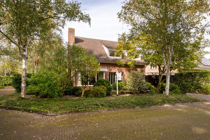 Foto 41 van Onyxdijk 119