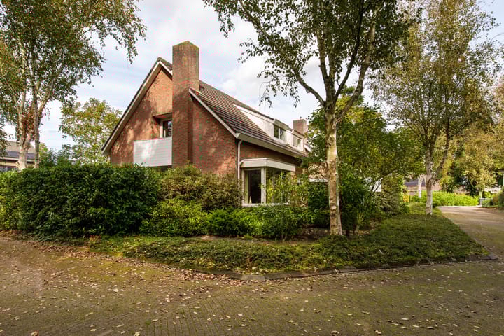 Foto 42 van Onyxdijk 119