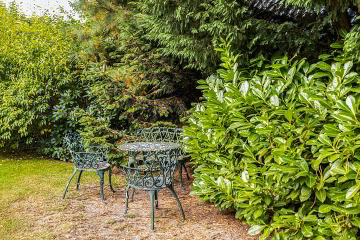 Foto 47 van Rossinilaan 28