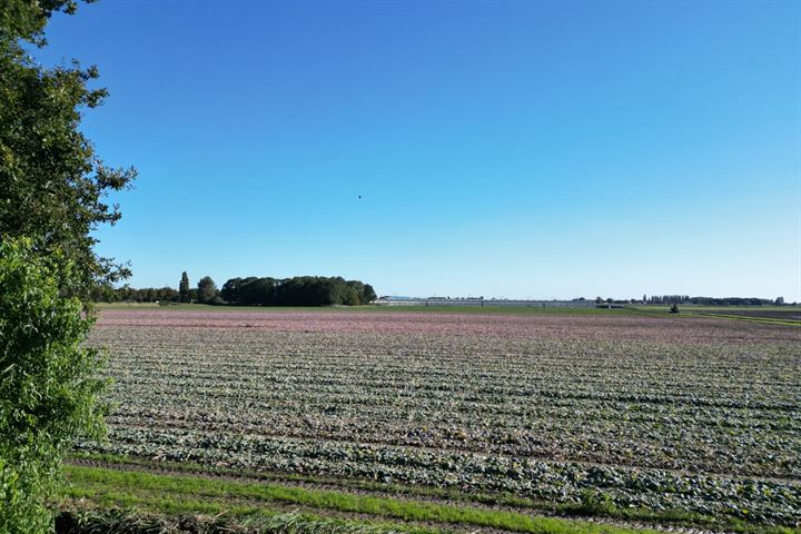 Bekijk foto 45 van Koningin Wilhelminastraat 90