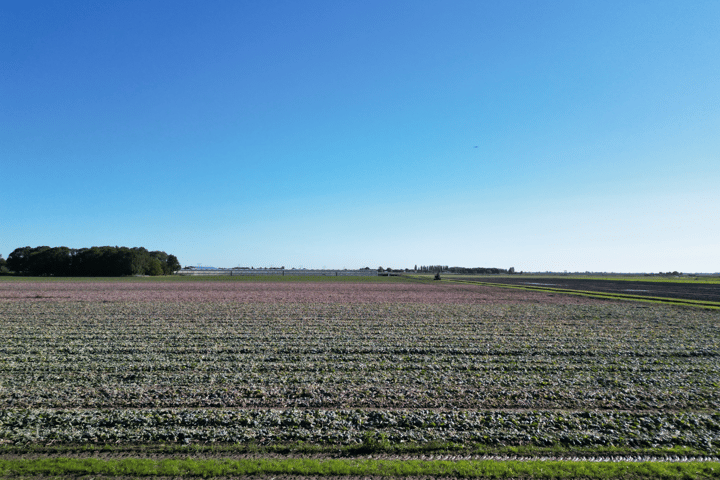 Photo 46 of Koningin Wilhelminastraat 90